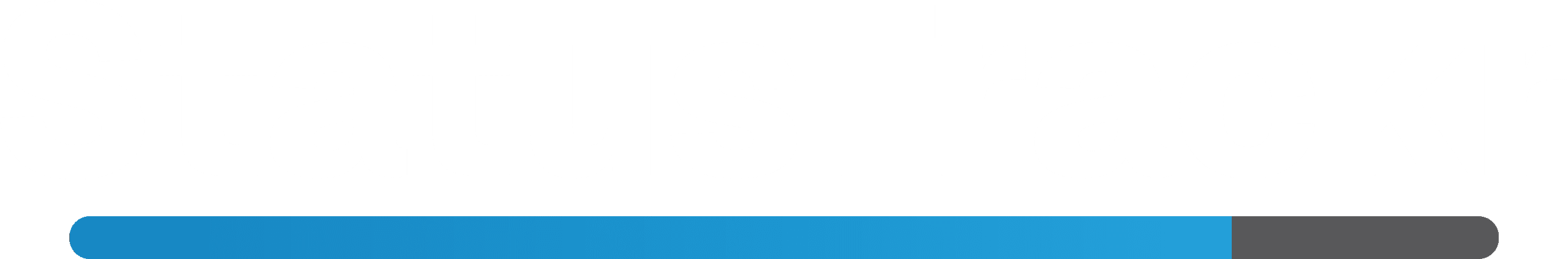 Wide Logo - White Text